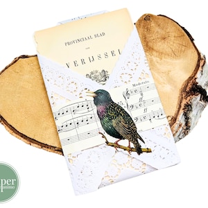 grande kit per journaling con ritagli misti / set per journaling / scrapbooking / posta ordinaria / carte effimere / flora e fauna / pagine di libri vintage