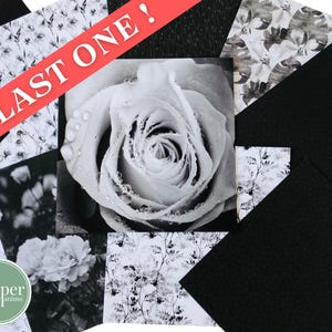 Carta per scrapbooking / Bianco e nero floreale / 15 x 15 cm / Set di carta / 10 fogli / 10 disegni / Carta artigianale / Con o senza lamina / Fiori rosa
