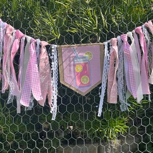 Pink Lemonade High Chair Banner, High Chair Tutu, Cake Smash, Photo Backdrop, Nursey/Baby Shower Decor