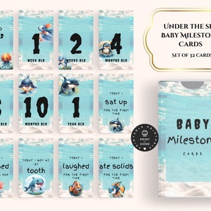 Cartes d’étape de bébé | Nouveau cadeau de bébé | Cartes mensuelles | Cadeau de douche | Bébé garçon | Nouvelle maman | Téléchargement instantané | Carte d'étape imprimable BMC03
