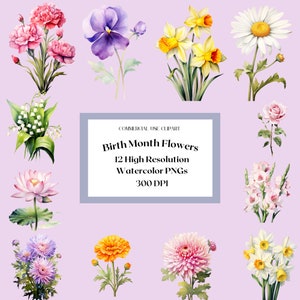 Fleurs Mois de Naissance | Art floral | Fleurs d'anniversaire | Fleur de naissance PNG | Aquarelle florale | Utilisation commerciale | Clipart mois de naissance BMCA02