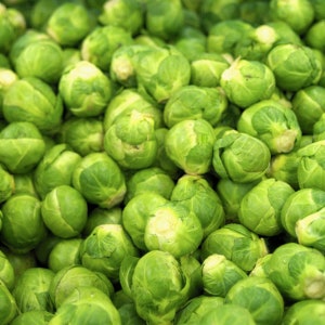 Brussel Sprouts Seeds Bedford Darkmar 21 - 400 Seeds