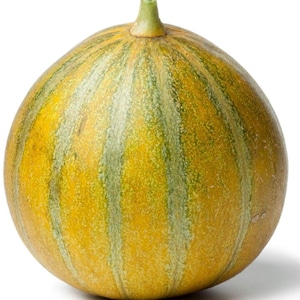 Melon - Ogen - Open Pollinated Variety - 5 Seeds