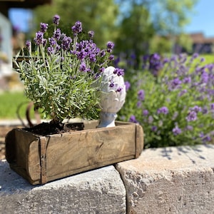Ziegelform Antik Rustikal Landhaus Gartendeko  Blumenkasten Vintage Pflanzkasten