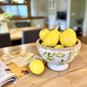 Blomkruka, skål, planteringskärl, fruktskål, planteringskärl, dekorativ lantlig stil