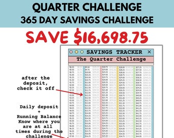 Money Savings Challenge Tracker, Quarter Savings Challenge Printable Tracker, Save 16698, Savings Goal Digital Tracker, 365 Day Challenge