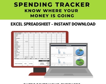 Expense Tracker Excel, Spending Log, Monthly Budget Template, Financial Spreadsheet, Budgeting Tools, No Spend Challenge