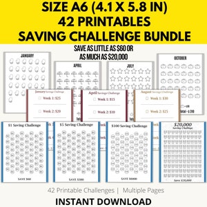 Savings Challenge Printable, Savings Challenge Bundle, A6 Sized Savings Challenge Trackers, Money Savings Challenge, Set Of 42, 100 Envelope