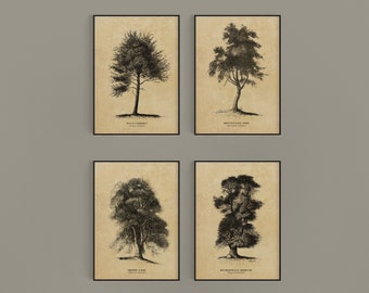 Set of 4 Engraved Tree Prints, Sacred Trees, World Trees