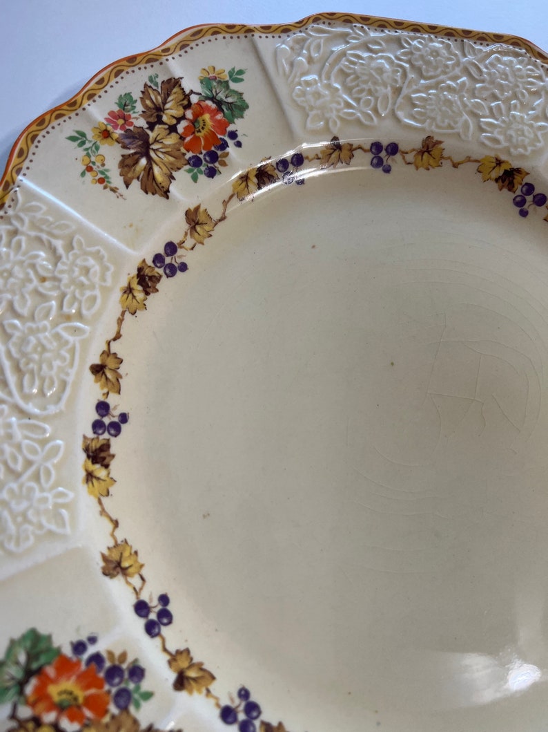 Vintage Myott Staffordshire Dinner Plate, Pattern FH2909, Grapes, Leaves, Flowers, Cream, Orange Trim, 9.5 image 2