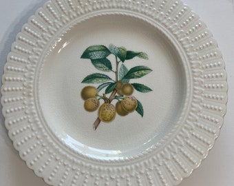 Vintage Royal Cauldon Bristol Ironstone Mirabelle Plate, Antique Plate, England, Rare, Turpin Pina R. Losel sculp, Made in England