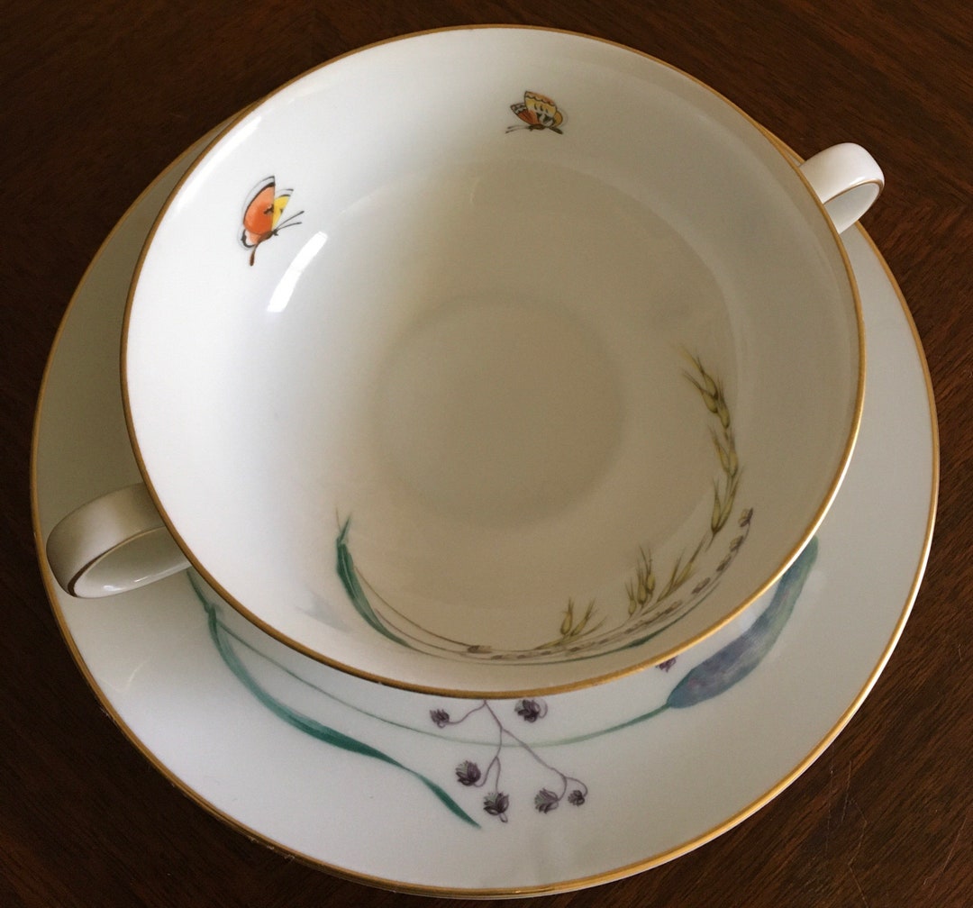 Butterfly Cup and Saucer Set, Vintage Cup and Saucer, H&C Heinrich Co