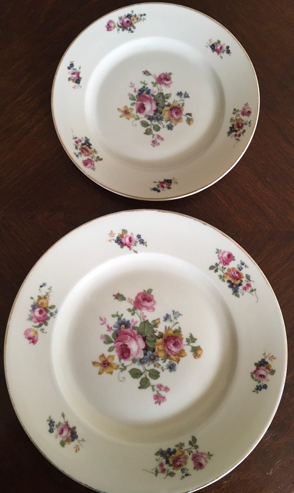 Pirken Hammer, Czechoslovakia, 1 Dinner Plate, 1 Salad Plate, 2 Piece Place Setting, Vintage
