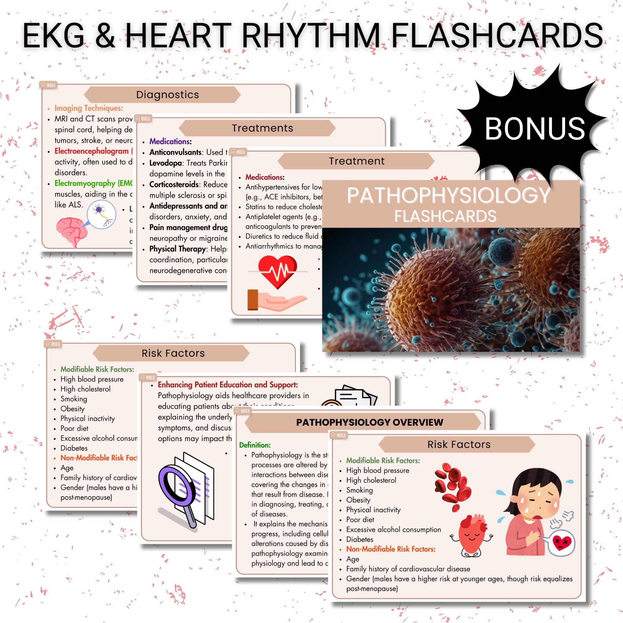 Nursing Pathophysiology Notes.pdf Pathophysiology Study Bundle: Medical Nursing Notes (hyperlinked PDF ...