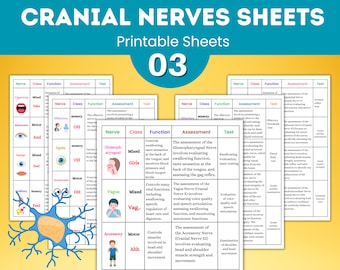健康・医学 Cranial Participant Guide 健康・医学 Cranial Participant Guide Cranial Nerves Study Guide