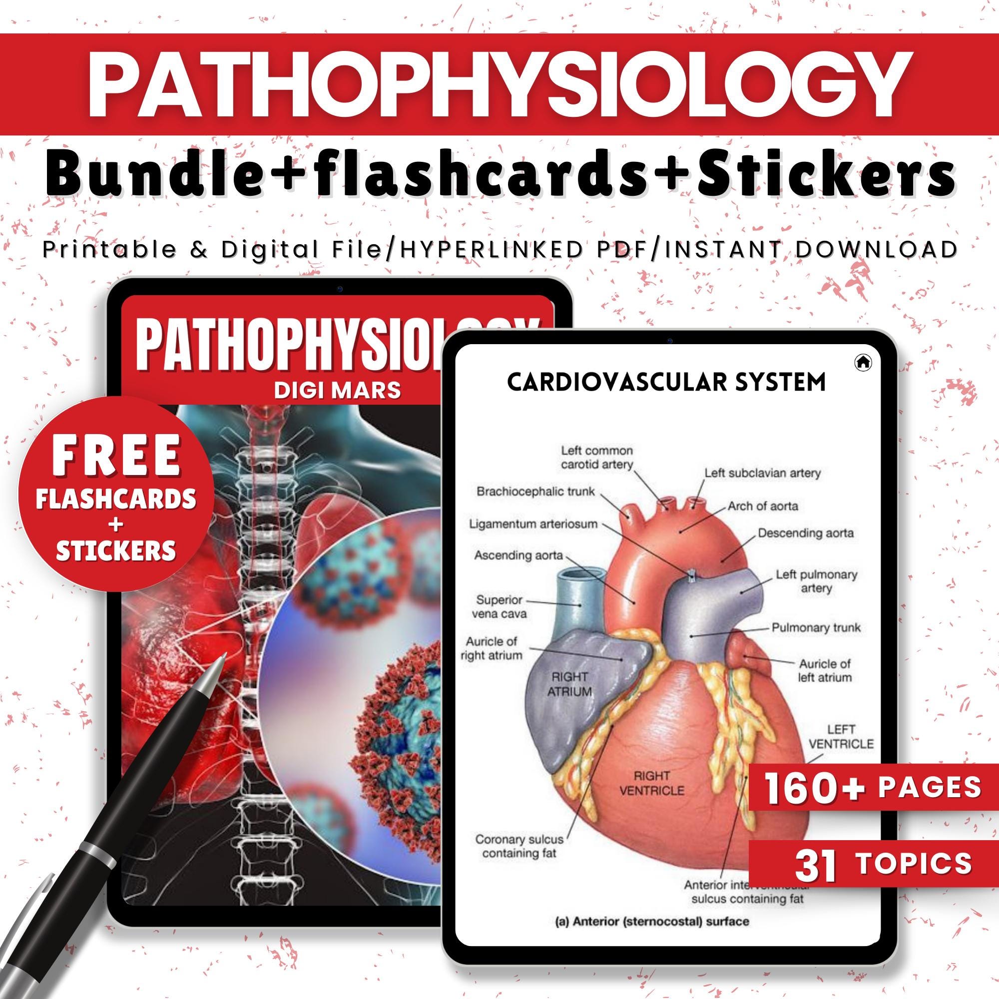Pathophysiology Study Bundle: Medical Nursing Notes (Hyperlinked PDF)