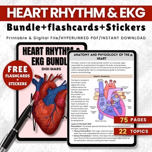 Heart Rhythm EKG Study Bundle: Medical Nursing Notes (75 Pages) (Hyperlinked PDF)