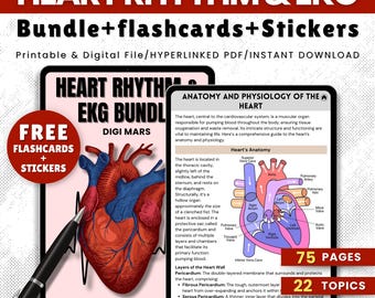Heart Rhythm EKG Study Bundle: Medical Nursing Notes (75 Pages) (Hyperlinked PDF)
