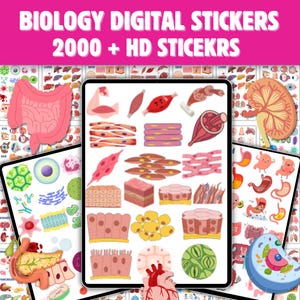 Puede incluir: Un conjunto de pegatinas digitales con más de 2000 ilustraciones de alta definición de diferentes partes y sistemas del cuerpo humano. Las pegatinas incluyen representaciones coloridas de órganos, tejidos, células y mucho más. El conjunto es perfecto para educadores, estudiantes y cualquier persona interesada en la biología.