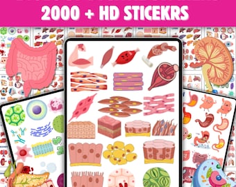 2000 Biology Anatomy Stickers: Medical Nursing Study Notes (Digital Download)