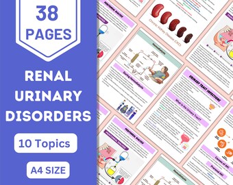 Renal Urinary Disorders Nursing Study Guide (Digital Download)