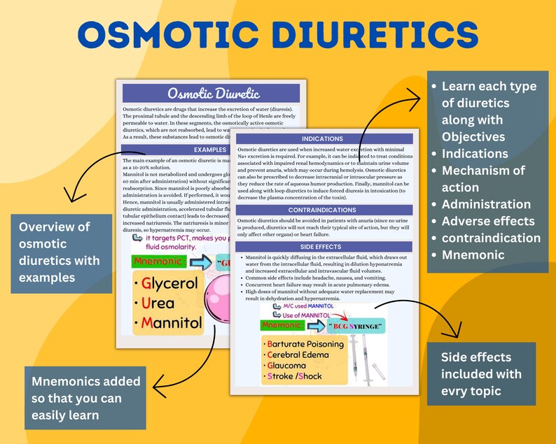 Diuretics Loop Thiazide Potassiumsparing Osmotic Etsy