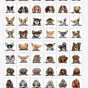 Pode incluir: Uma cole&ccedil;&atilde;o de 48 ra&ccedil;as de c&atilde;es ilustradas, incluindo Cavalier King Charles Spaniels, Cocker Spaniels e Chihuahuas. Os c&atilde;es s&atilde;o retratados em um estilo de desenho animado, olhando de tr&aacute;s de uma borda branca.
