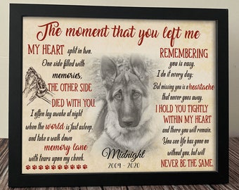 Personalized Pet Memorial Picture Frame: Dog Cat Loss Gift (8x10 inch)