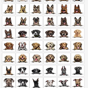 Pode incluir: Uma cole&ccedil;&atilde;o de 48 ra&ccedil;as de c&atilde;es diferentes, cada uma com uma apar&ecirc;ncia e personalidade &uacute;nicas. Os c&atilde;es est&atilde;o todos olhando para a c&acirc;mera com suas cabe&ccedil;as espiando por cima de uma superf&iacute;cie branca. A imagem &eacute; intitulada "Breed Group 7 (G)".