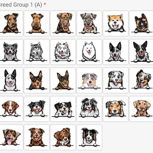 Pode incluir: Grupo de ra&ccedil;as 1 (A) - Uma cole&ccedil;&atilde;o de 25 ra&ccedil;as de c&atilde;es diferentes, incluindo Airedale Terriers, Huskies siberianos, Samoyedos, Pastores australianos e Border Collies. Cada c&atilde;o &eacute; retratado em um estilo de desenho animado, olhando de tr&aacute;s de uma borda branca.