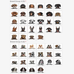 Pode incluir: Uma grade de imagens mostrando diferentes ra&ccedil;as de c&atilde;es, incluindo Dachshunds, Dobermans, Bulldogs e Springer Spaniels ingleses. As imagens est&atilde;o organizadas em dois grupos, rotulados como "Breed Group 4 (D)" e "Breed Group 5 (E)".