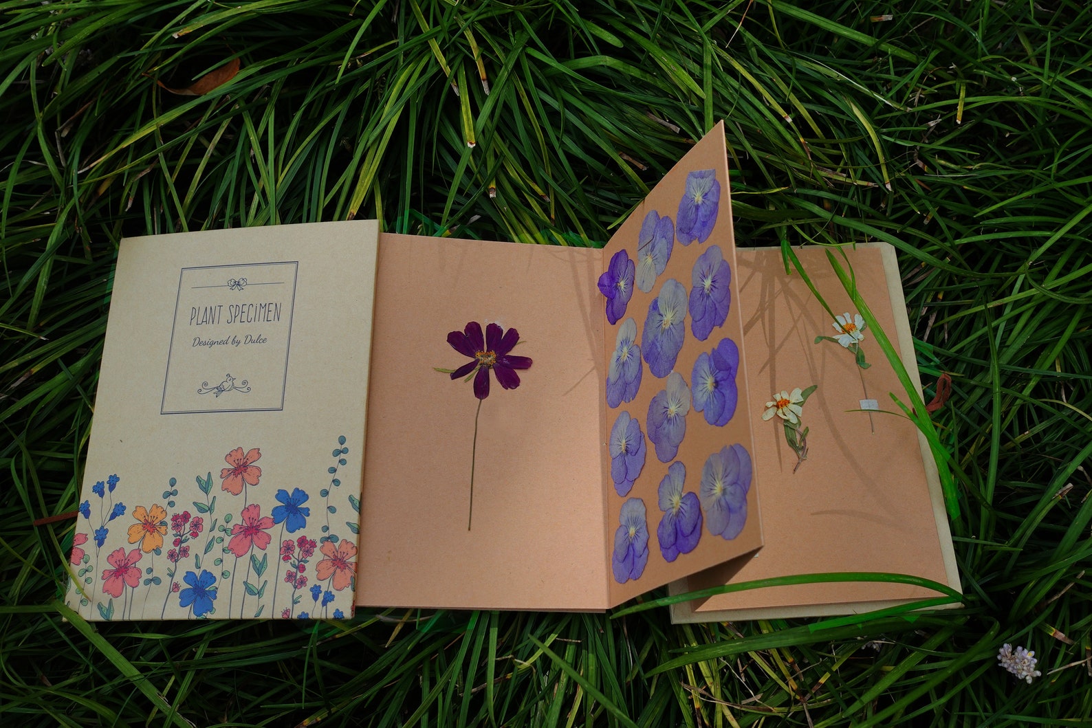 Microwave Flower Press Kit Leaf Press Plant Press Etsy Australia