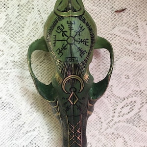 Custom coyote skull
