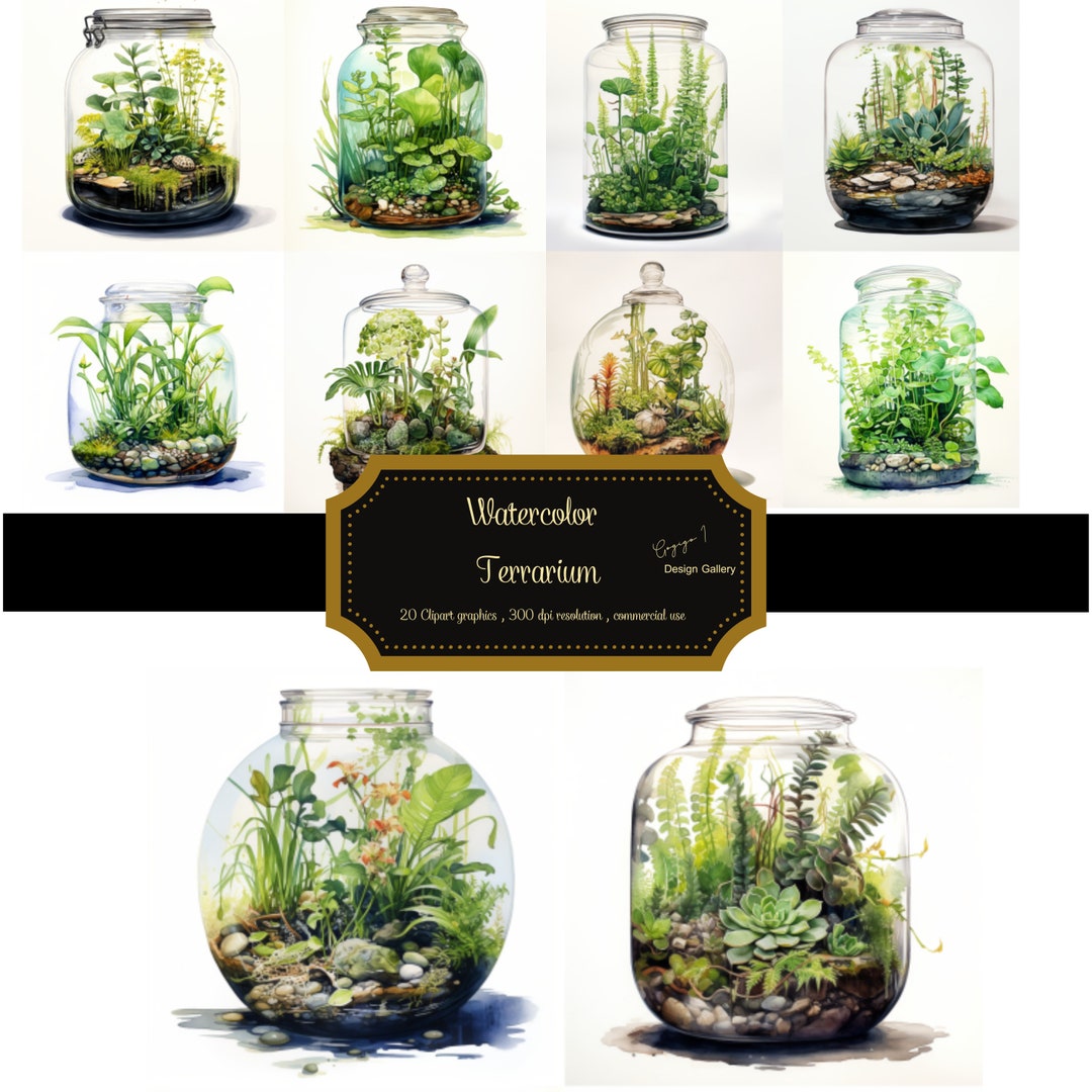 Terrarium Watercolor Cliparts PNG Format Instant Download for Etsy