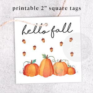 Puede incluir: Etiquetas de regalo cuadradas imprimibles de 5 cm con el texto "hello fall" en fuente de letra cursiva negra. Las etiquetas presentan una ilustración de acuarela de calabazas y bellotas en tonos naranja, marrón y verde.