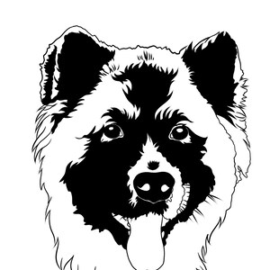 Pet Portraits by Nour