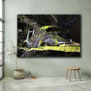 Mossy Car Print: Abandoned Vintage Auto in Forest (Digital Download)