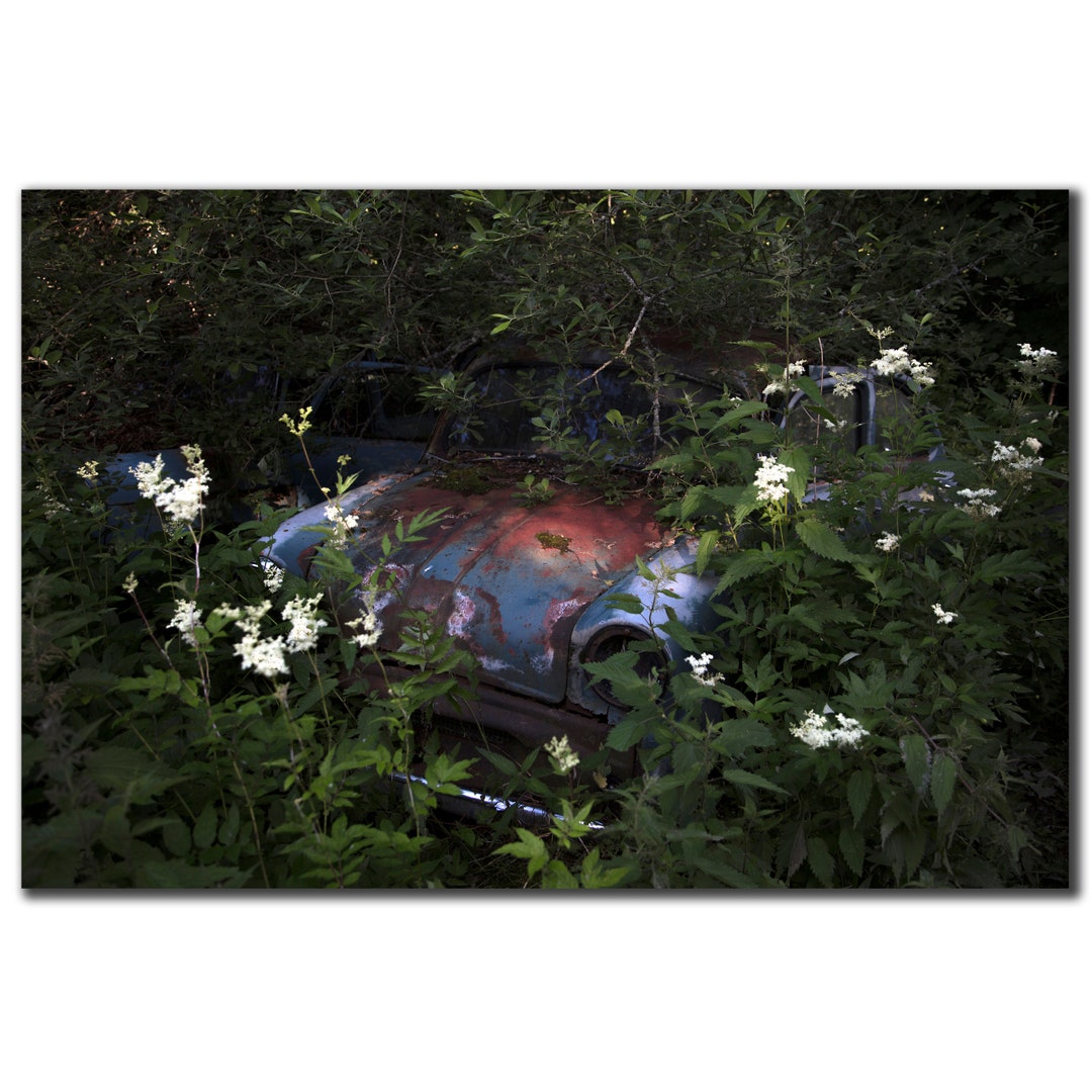 Abandoned Car in the Grass Automotive Landscape in Sweden - Etsy