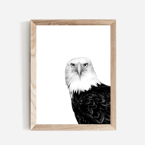 Bald Eagle Wall Art, Bald Eagle Digital Download, Peekaboo Bald Eagle, Black and White, Nursery Bird Art, Funny Animals, Minimalist Nursery