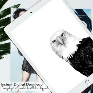 May include: Black and white digital illustration of a bald eagle with a serious expression. The eagle is looking directly at the viewer. The background is white.