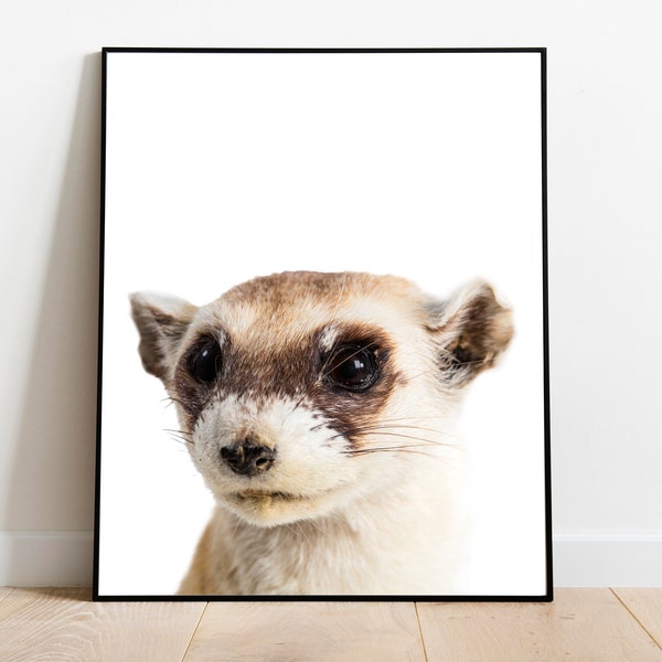 Ferret Wall Art, Ferret Digital Download, Nursery Animal Art, Minimalist Ferret Art, Cute Ferret Portrait, Ferret Wall Decor, Printable