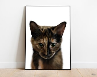 tortoiseshell cat price philippines