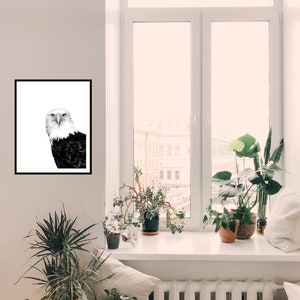 May include: A black and white illustration of a bald eagle with a serious expression, framed and hanging on a white wall in a room with a window and plants.