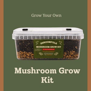 May include: A clear plastic mushroom grow kit with a dark substrate and grains visible inside. The kit has a green label that reads "SHROOMFOLK MUSHROOM GROW KIT". The text "Grow Your Own" and "Mushroom Grow Kit" are also displayed.