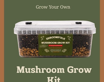 Pode incluir: Um kit de cultivo de cogumelos em plástico transparente com um substrato escuro e grãos. O kit tem um rótulo verde que diz "SHROOMFOLK MUSHROOM GROW KIT". As palavras "Grow Your Own" e "Mushroom Grow Kit" também são exibidas.