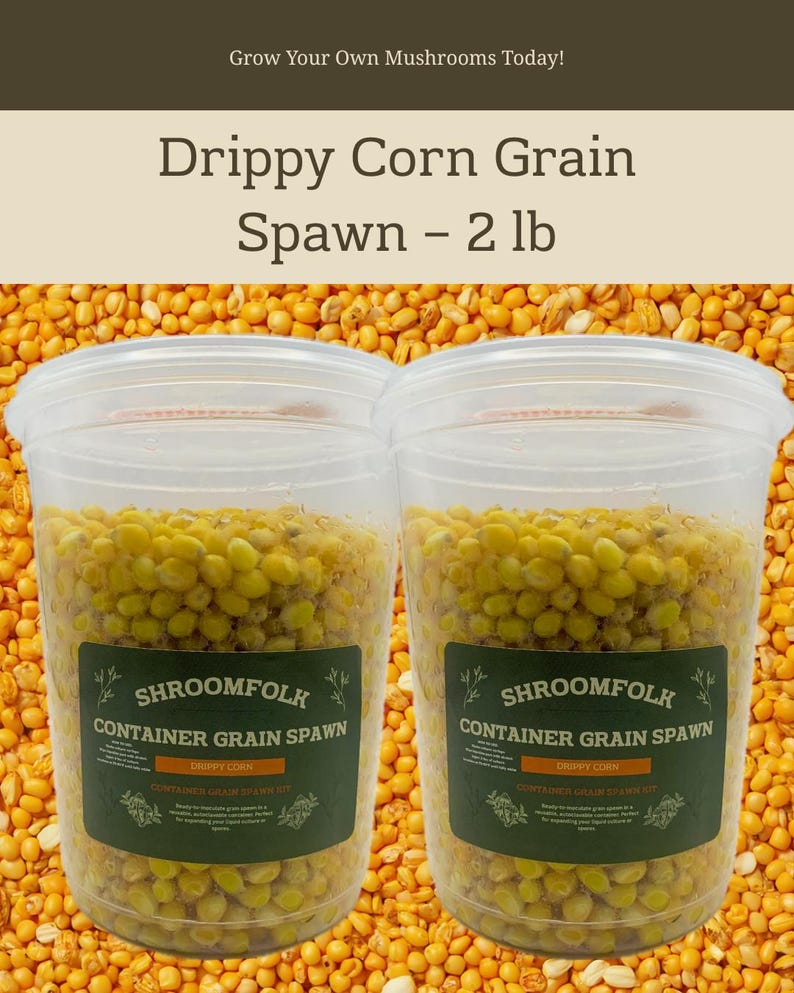 Corn Spawn Drippy Corn Grain Spawn — 2 Lb (two 1 Lb Containers) - Etsy