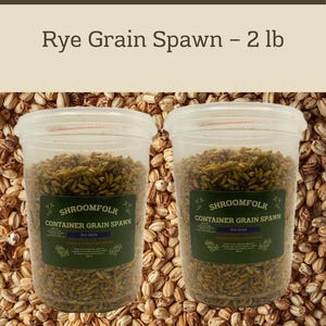 May include: Two clear plastic containers filled with rye grain spawn, labeled "Shroomfolk Container Grain Spawn." The text "Rye Grain Spawn - 2 lb" is above the containers. The background is filled with grains, and the top text reads "Grow Your Own Mushrooms Today!"