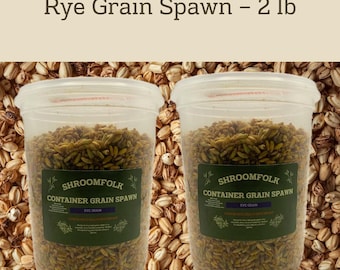 Rye Grain Spawn — 2 lb (Two 1 lb Containers)