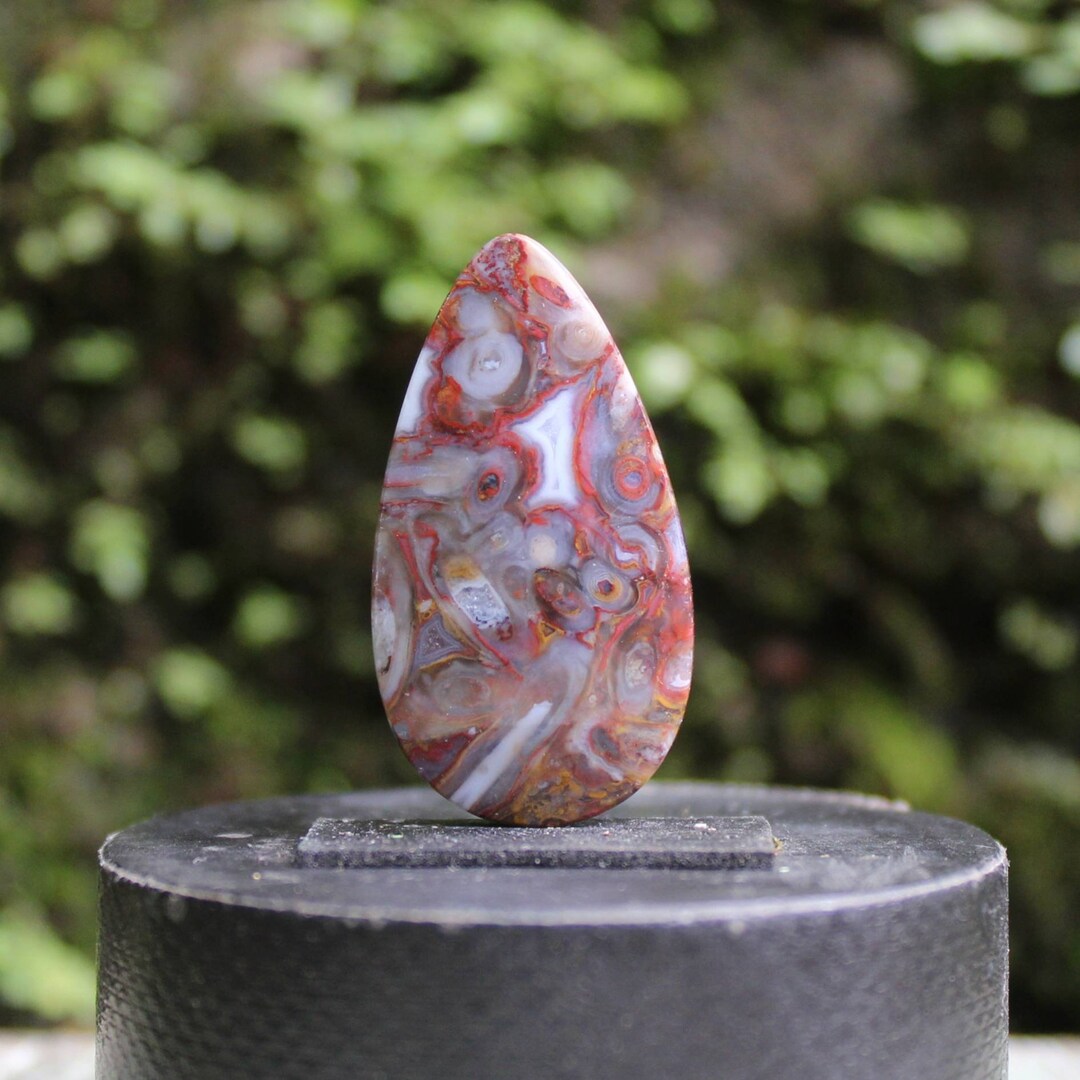 Opalized Wood Cabochon Etsy