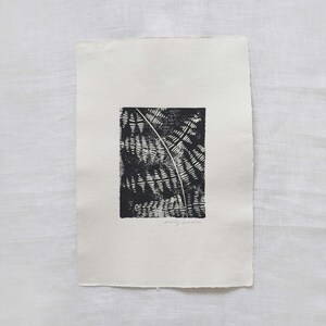 Op de afbeelding: Zwart-witte print van een varenblad met een textuurpatroon. De print is op een witte achtergrond en heeft de handtekening van de kunstenaar rechtsonder.